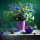 Calendar cu imagini Bouquets, 31.5 x 48 cm, 12 file, 2026